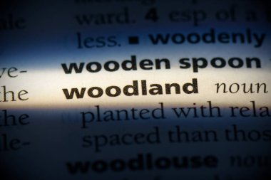 Ormanlık kelime, sözlükte vurgulanmış, görünümü kapat