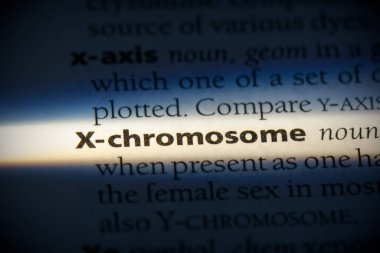 Sözlükte vurgulanmış x kromozomu sözcüğü, görünümü kapat