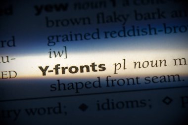 Sözlükte vurgulanan y-fronts sözcüğü, görünümü kapat
