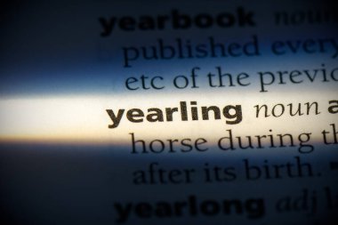 Sözlükte altı çizili olan yıllık sözcük, görünümü kapat