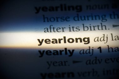 Sözlükte altı çizili bir yıl uzunluğunda kelime, görünümü kapat