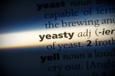 Sözlükte altı çizili mayalı kelime, görünümü kapat