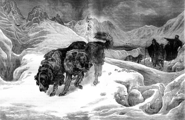 Χιονοστιβάδα Όλοι Άρχισαν Εργάζονται Άνδρες Και Σκυλιά Vintage Χαρακτική — Φωτογραφία Αρχείου