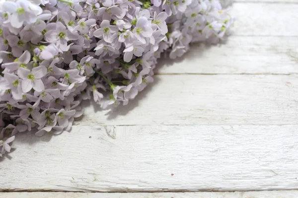 木の板にカッコウの花 — ストック写真