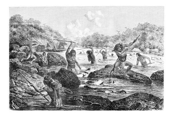 Rdzenni Włócznie Ryb Uwięzionych Skałach Oiapoque Brazylia Vintage Grawerowanie — Zdjęcie stockowe