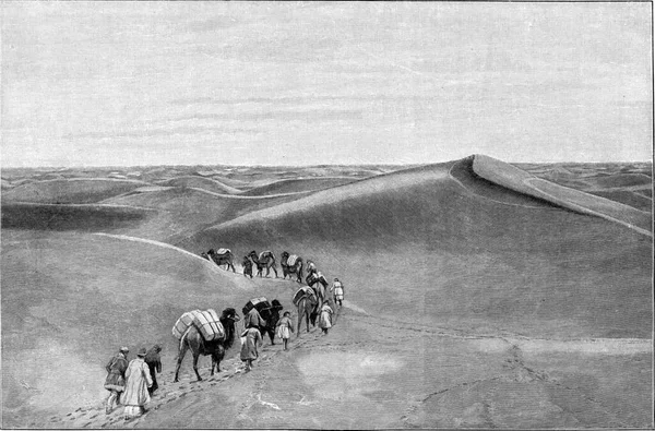 中亚沙漠中的骆驼商队运送货物 老式雕刻品 — 图库照片
