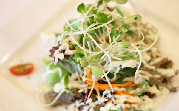 Salat Mit Vielen Arten Von Lebensmitteln Für Die Gesundheit — Stockfoto