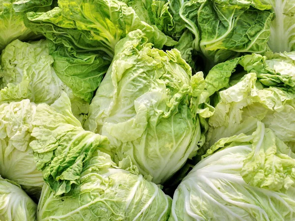 Gemüse Frischer Chinakohl Auf Dem Markt — Stockfoto