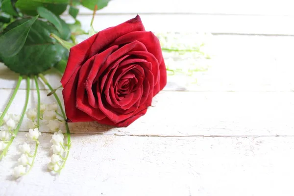 Κόκκινο Τριαντάφυλλο Και Κρίνος Της Κοιλάδας Λουλούδια — Φωτογραφία Αρχείου