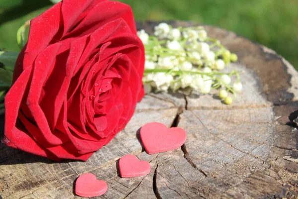 Róża Lilia Dolinie — Zdjęcie stockowe