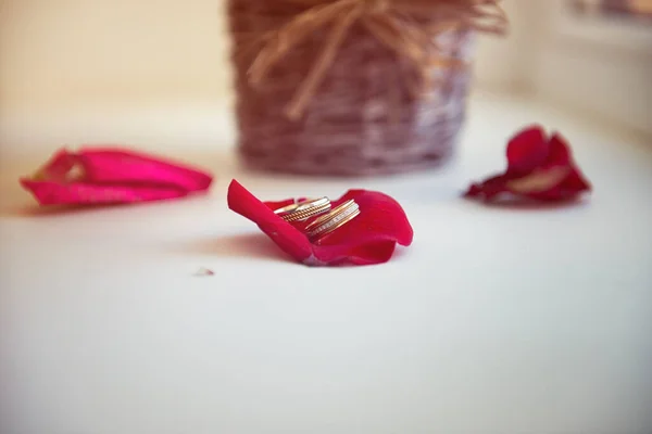 Obrączki Ślubne Płatku Czerwonej Róży — Zdjęcie stockowe