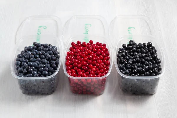 Berries Laid Out Containers Signed Marker Prepared Freezing Storage — Stock Photo, Image