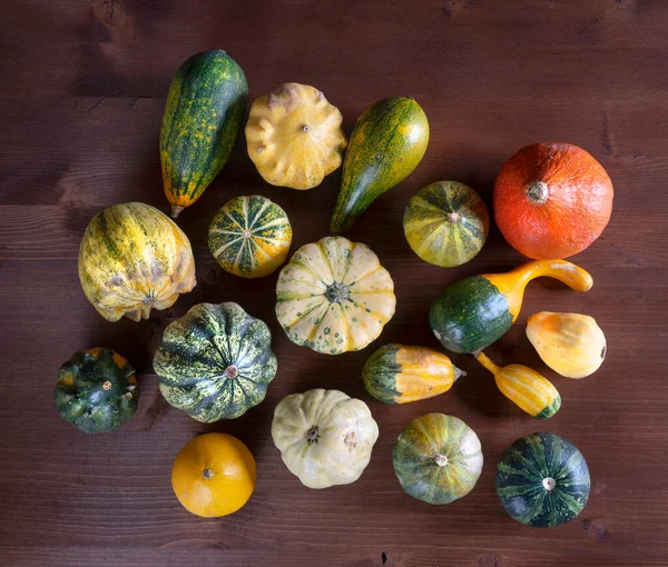 stock image small pumpkins on wooden table 