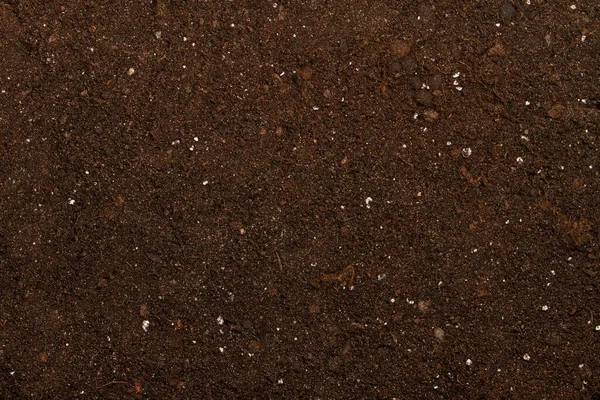 Peat Soil Texture Background — Stock Photo, Image