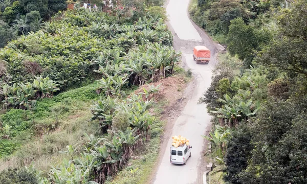 Camino Montaña Que Atraviesa Paisaje Selva Tropical —  Fotos de Stock