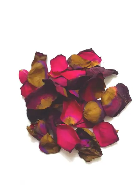 Πέταλα Από Σκούρο Ροζ Τριαντάφυλλο Λευκό Φόντο — Φωτογραφία Αρχείου