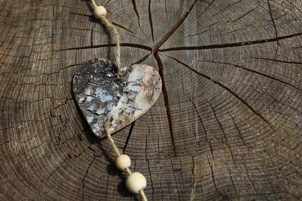 树干上的木制心脏 — 图库照片