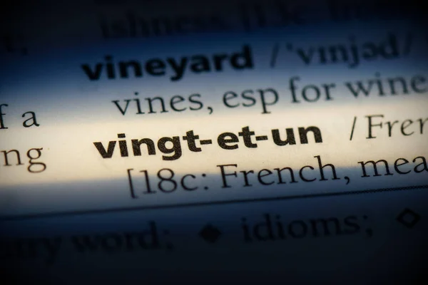 Vingt Word Sözlükte Vurgulanmış Görünümü Kapat — Stok fotoğraf