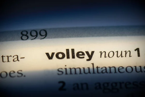 Volley Woord Gemarkeerd Woordenboek Close Uitzicht — Stockfoto