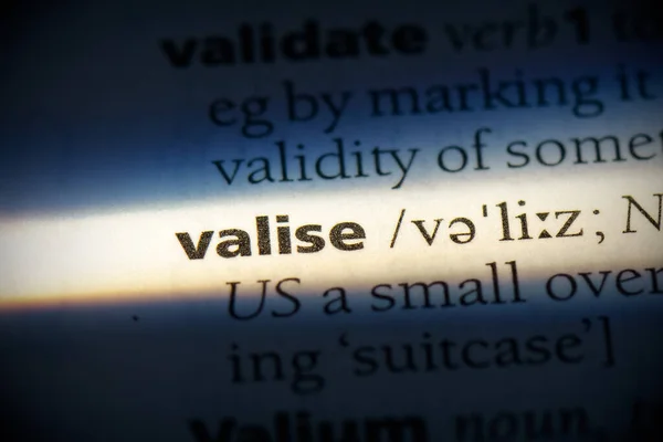 Valise Word Highlighted Dictionary Close View — Stock Photo, Image