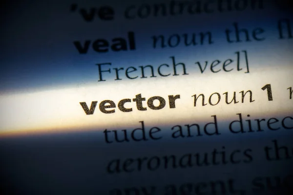 Vector Word Highlighted Dictionary Close View — Stock Photo, Image