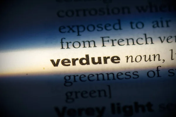 Verdure Λέξη Τονίζεται Στο Λεξικό Close View — Φωτογραφία Αρχείου