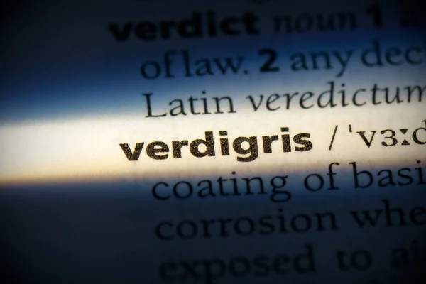 Verdigris Slovo Zvýrazněné Slovníku Zavřít Pohled — Stock fotografie