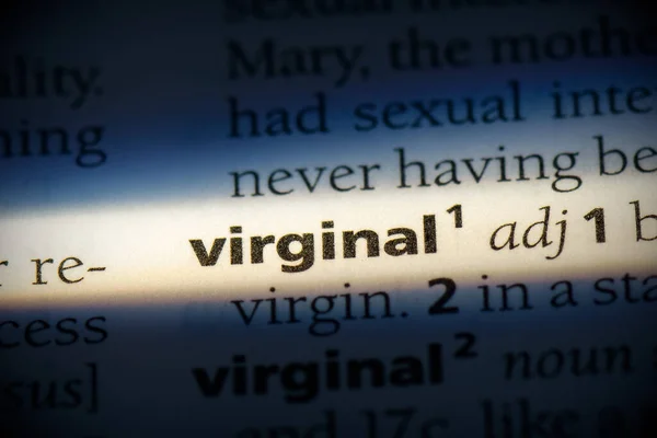 Virginal Word Highlighted Dictionary Close View — Stock Photo, Image