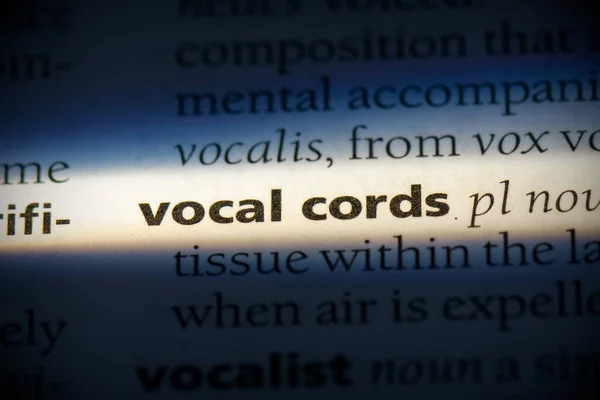 Vocal Cords Word Highlighted Dictionary Close View — Stock Photo, Image