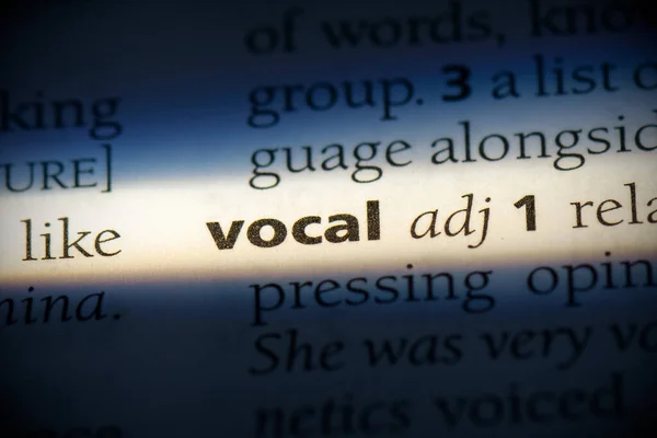 Vocale Woord Gemarkeerd Woordenboek Close Bekijken — Stockfoto