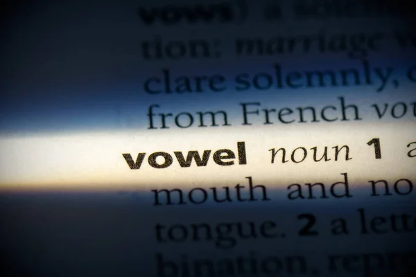 Vowel Word Highlighted Dictionary Close View — Stock Photo, Image