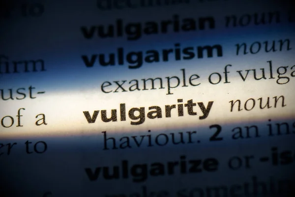 Vulgariteit Woord Gemarkeerd Woordenboek Van Dichtbij Bekijken — Stockfoto
