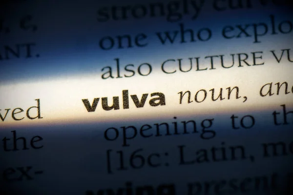 Vulva Wort Wörterbuch Hervorgehoben Großaufnahme — Stockfoto