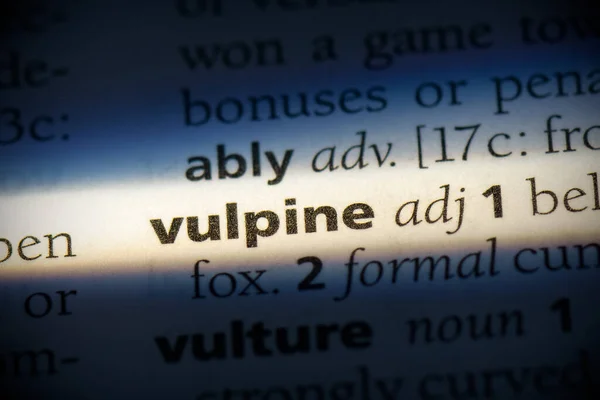 Vulpine Word Destaque Dicionário Close View — Fotografia de Stock