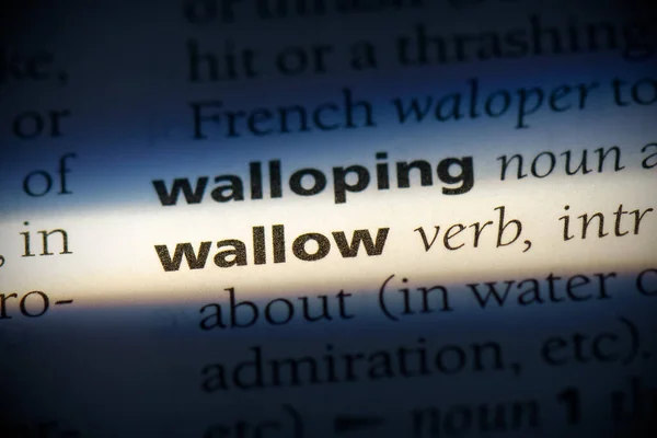 Wallow Word Destaque Dicionário Close View — Fotografia de Stock