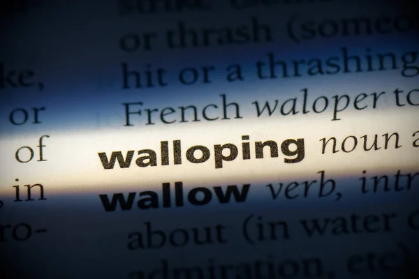 Walloping Word Destacado Dicionário Close View — Fotografia de Stock