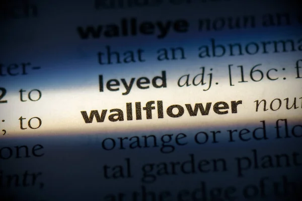 辞書で強調表示されている花言葉は — ストック写真