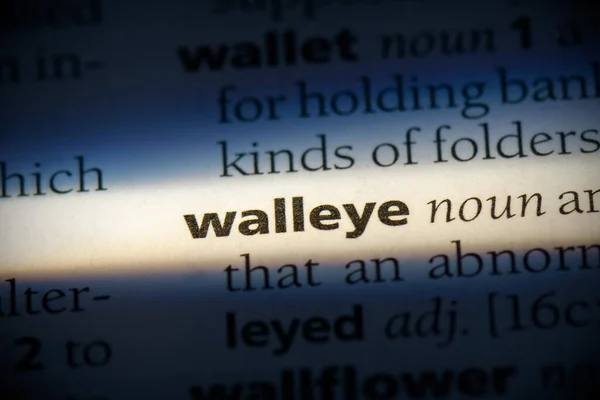 Walleye Woord Gemarkeerd Woordenboek Van Dichtbij Bekijken — Stockfoto