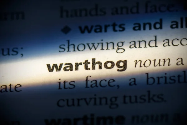 在字典中突出显示的Warthog字 — 图库照片