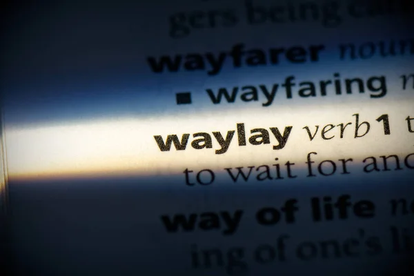 Waylay Word Evidenziata Nel Dizionario Vista Vicino — Foto Stock