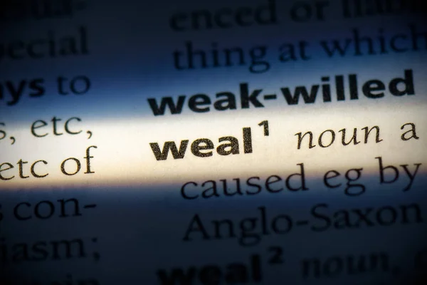 Weal Word Dicionário — Fotografia de Stock