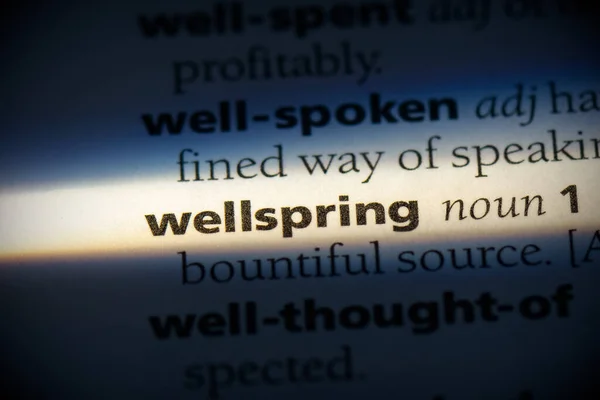Sözlükte Wellspring Kelimesi — Stok fotoğraf