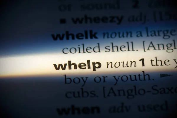 Whelp Word Highlighted Dictionary Close View — Stock Photo, Image