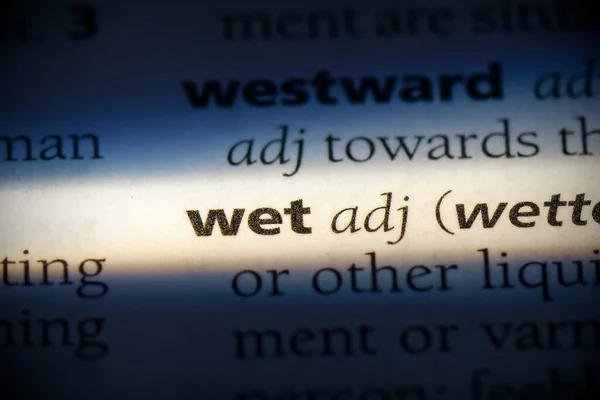 Sözlükte Vurgulanmış Islak Kelime Görünümü Kapat — Stok fotoğraf