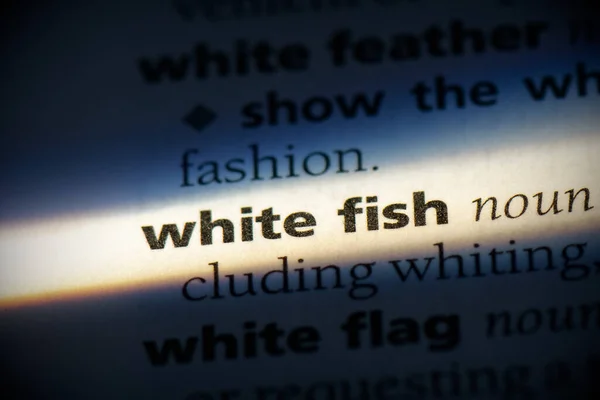 White Fish Word Evidenziata Nel Dizionario Vista Vicino — Foto Stock