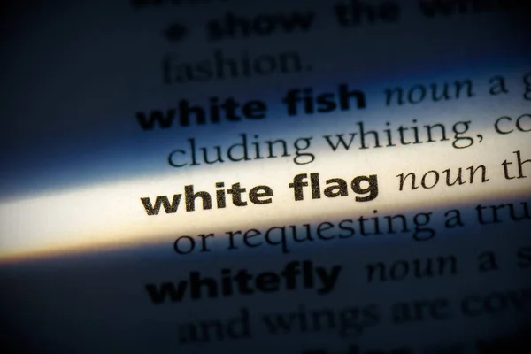 Bílá Vlajka Slovo Zvýrazněno Slovníku Zavřít Pohled — Stock fotografie