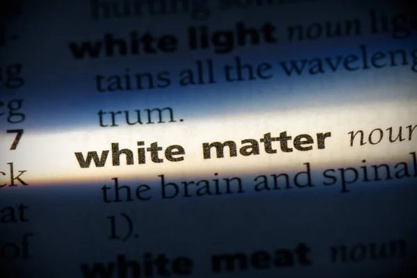 Λευκή Λέξη Ύλης Τονισμένη Στο Λεξικό Κοντινή Προβολή — Φωτογραφία Αρχείου