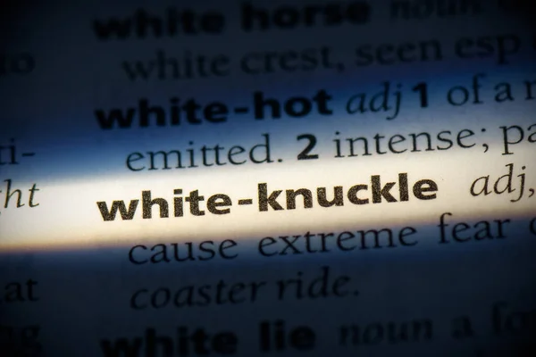 Sözlükte Vurgulanmış Beyaz Eklem Sözcüğü Görünümü Kapat — Stok fotoğraf
