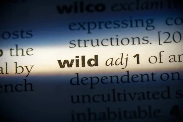 Wild Word Evidenziata Nel Dizionario Vista Vicino — Foto Stock
