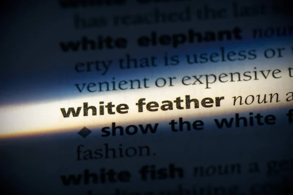 Sözlükte Vurgulanmış Beyaz Tüy Kelimesi Görünümü Kapat — Stok fotoğraf